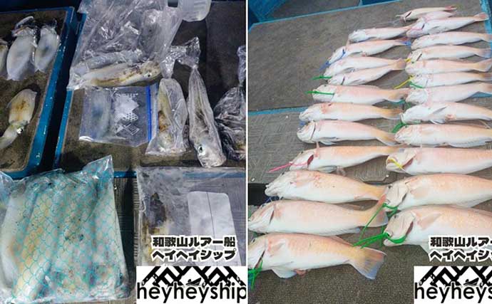 関西エリアの【船釣り特選釣果】ディープタイラバで大ダイ72cm！ティップランではアオリイカ連発