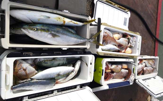 関西エリアの【船釣り特選釣果】ディープタイラバで大ダイ72cm！ティップランではアオリイカ連発