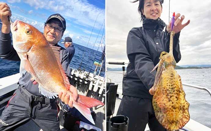 関西エリアの【船釣り特選釣果】ディープタイラバで大ダイ72cm！ティップランではアオリイカ連発