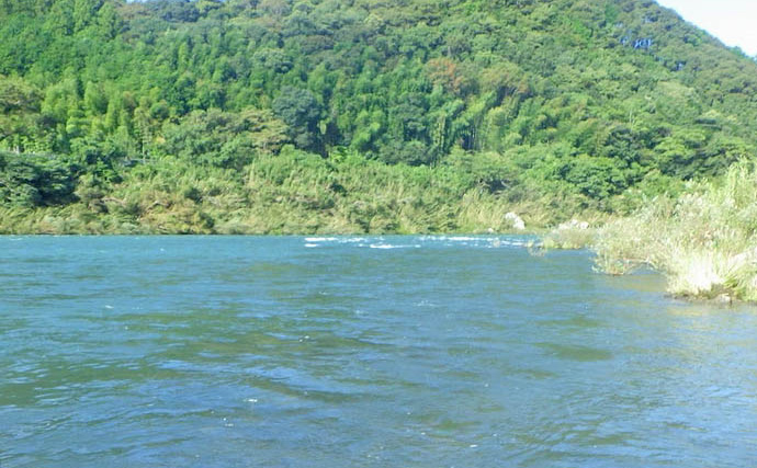 四万十川の大アユ釣りで31.6cm尺アユ登場！【高知】2日間で3尾の尺超え達成