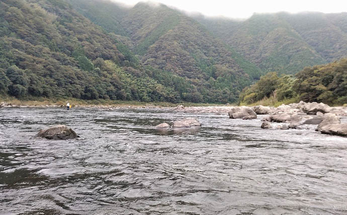 四万十川の大アユ釣りで31.6cm尺アユ登場！【高知】2日間で3尾の尺超え達成