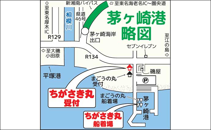 相模湾のシロアマダイ釣りで39cmを頭に船中全員安打！【神奈川】サバ短冊＆オキアミ仕掛けが奏功