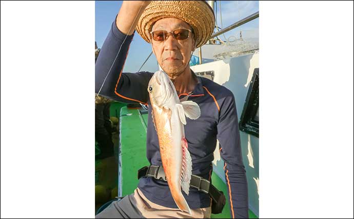 相模湾のシロアマダイ釣りで39cmを頭に船中全員安打！【神奈川】サバ短冊＆オキアミ仕掛けが奏功