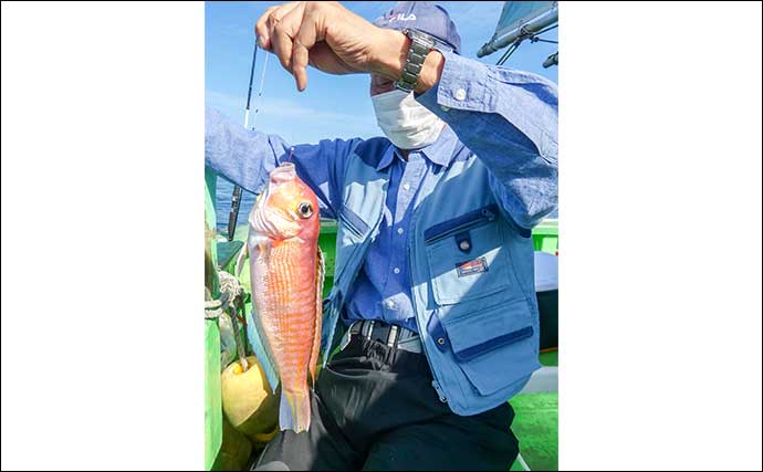 相模湾のシロアマダイ釣りで39cmを頭に船中全員安打！【神奈川】サバ短冊＆オキアミ仕掛けが奏功