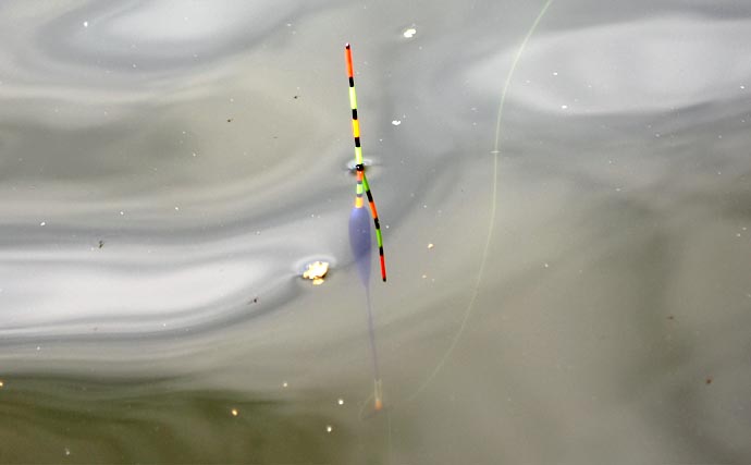 「じつは誰でも楽しめる！」管理池で楽しむヘラブナ釣り入門　道具と仕掛けをやさしく解説