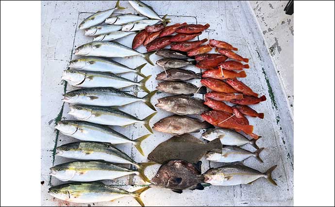 【沖釣り釣果速報】ジギングで73cm良型カンパチ登場！オオモンハタやアカハタもヒット（三重）