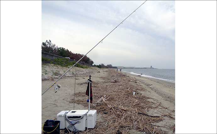 香良洲海岸の投げキス釣りで19cm頭に53匹キャッチ！【三重】数・型ともに大満足