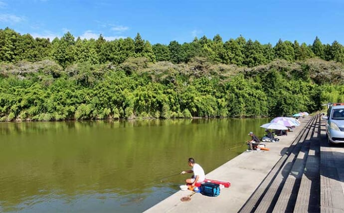今週のヘラブナ推薦釣り場2025【茨城・粟原の溜池】