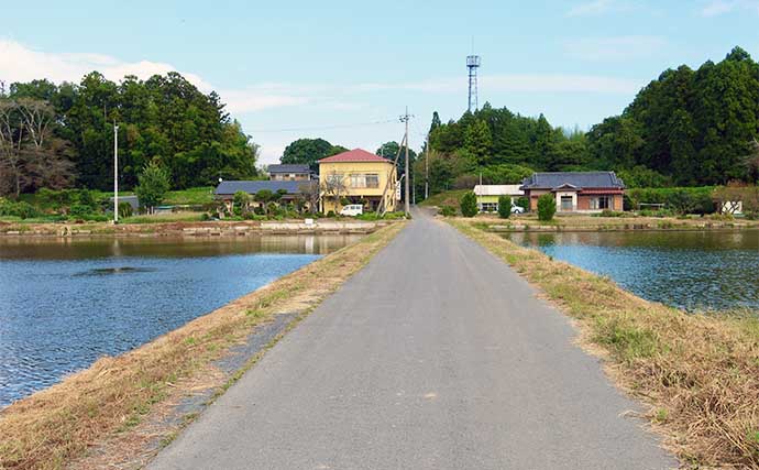 今週のヘラブナ推薦釣り場2025【茨城・粟原の溜池】