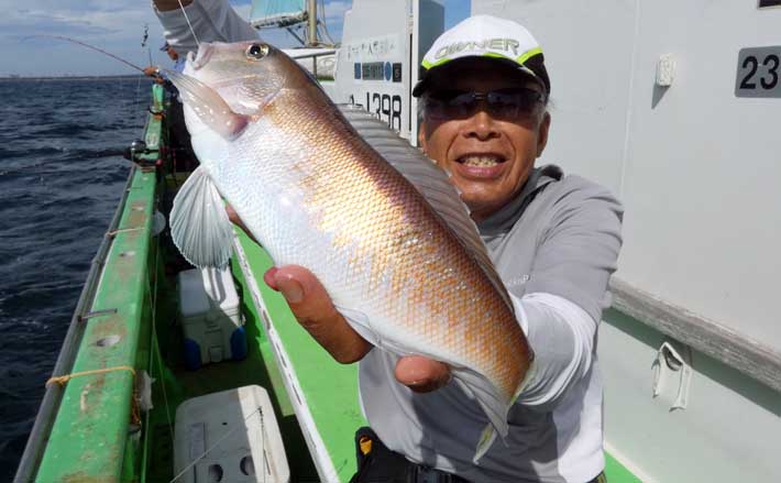 強い引きと極上の味！」相模湾アマダイ攻略ガイド タックル・仕掛け