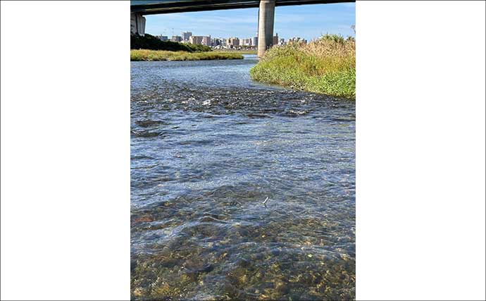 「トモ釣りも鮎ルアーも両方楽しむ！」相模川自由区のリレー釣行で18尾手中【神奈川】