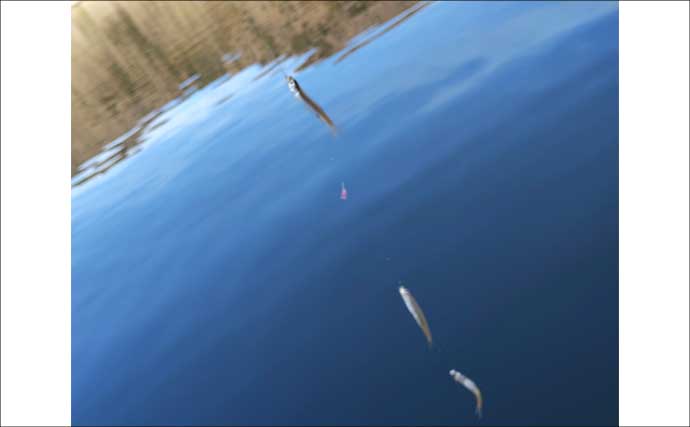 「絶景と釣果を両取り！」精進湖ワカサギ釣りガイド【山梨】富士山を望む静寂の人気レイク