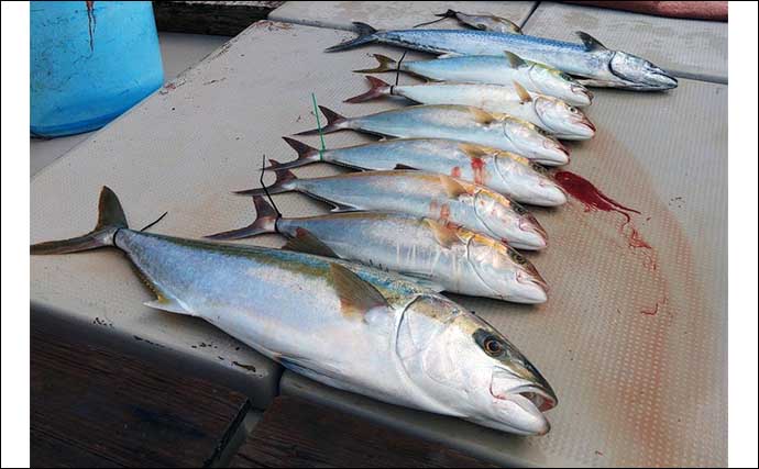 【沖釣り釣果速報】上五島沖のジギング・タイラバ船で6kg級ヒラマサを手中（佐賀・長崎）