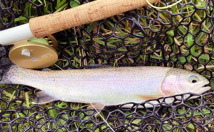 『鹿島槍ガーデン』で45cm筆頭にニジマス8尾【長野】濁った水色を「沈める釣り」で攻略