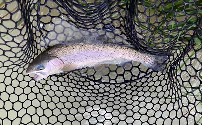 『鹿島槍ガーデン』で45cm筆頭にニジマス8尾【長野】濁った水色を「沈める釣り」で攻略