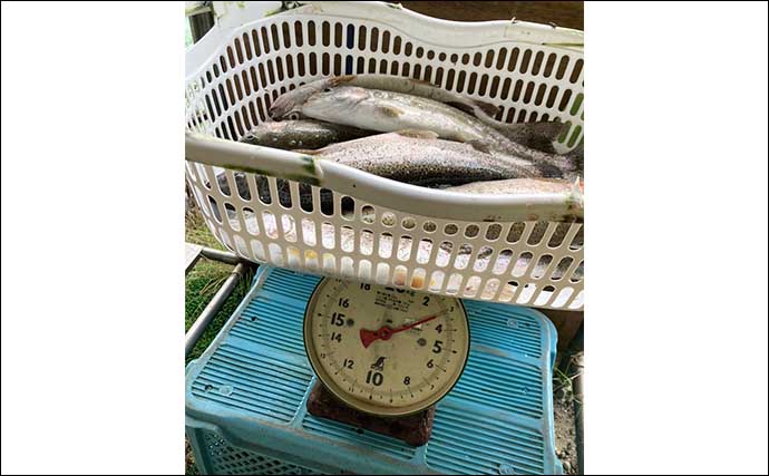 『鹿島槍ガーデン』で45cm筆頭にニジマス8尾【長野】濁った水色を「沈める釣り」で攻略