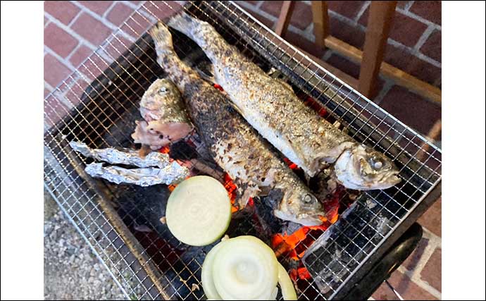 『鹿島槍ガーデン』で45cm筆頭にニジマス8尾【長野】濁った水色を「沈める釣り」で攻略