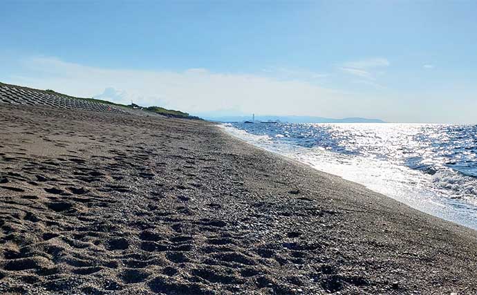 サーフでの投げ釣りで本命キス15匹【新潟・上越】釣れない時は移動が正解？