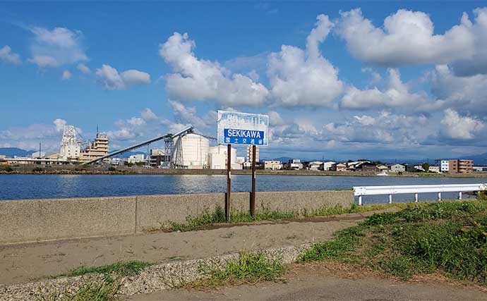 サーフでの投げ釣りで本命キス15匹【新潟・上越】釣れない時は移動が正解？