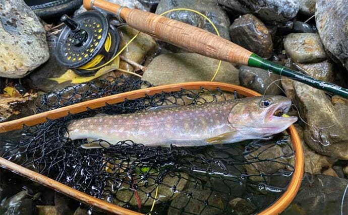 2025年の渓流釣りで大活躍だった【フライ3選】 ドライフライのパラシュートタイプがメイン