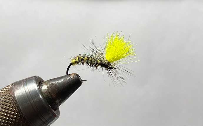 2025年の渓流釣りで大活躍だった【フライ3選】 ドライフライのパラシュートタイプがメイン