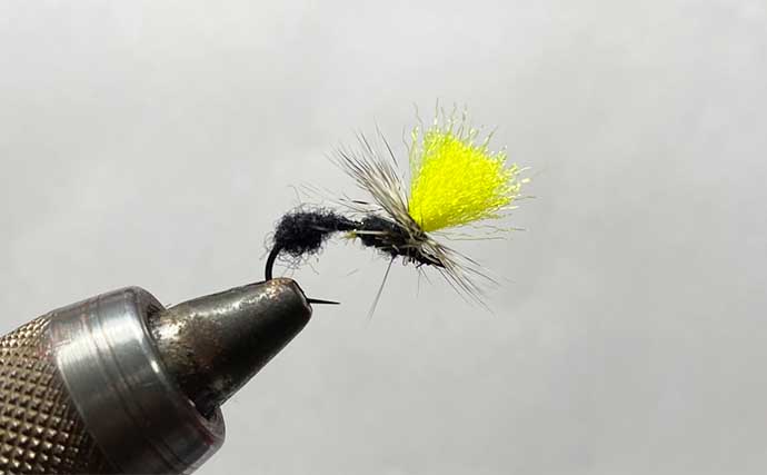 2025年の渓流釣りで大活躍だった【フライ3選】 ドライフライのパラシュートタイプがメイン