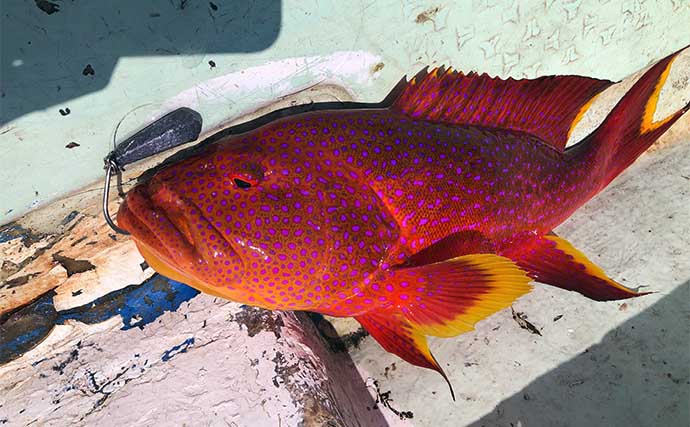「200円以下で誰でも作れるルアー仕掛け」高級根魚が入れ食い！【沖縄・伊是名島】