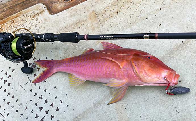 「200円以下で誰でも作れるルアー仕掛け」高級根魚が入れ食い！【沖縄・伊是名島】