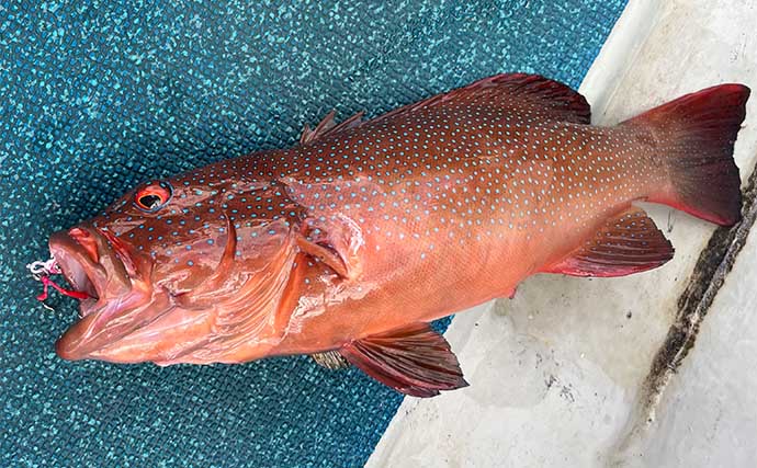 「200円以下で誰でも作れるルアー仕掛け」高級根魚が入れ食い！【沖縄・伊是名島】