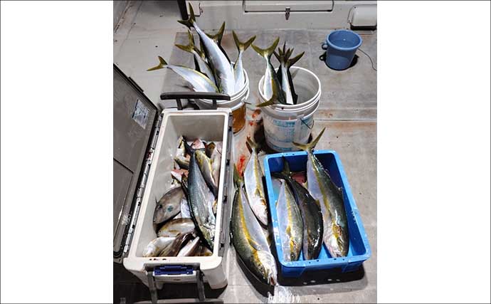 【沖釣り釣果速報】ヒラマサがドンッ！茱崎沖のタテ釣りで青物がバリバリ好反応（福井）