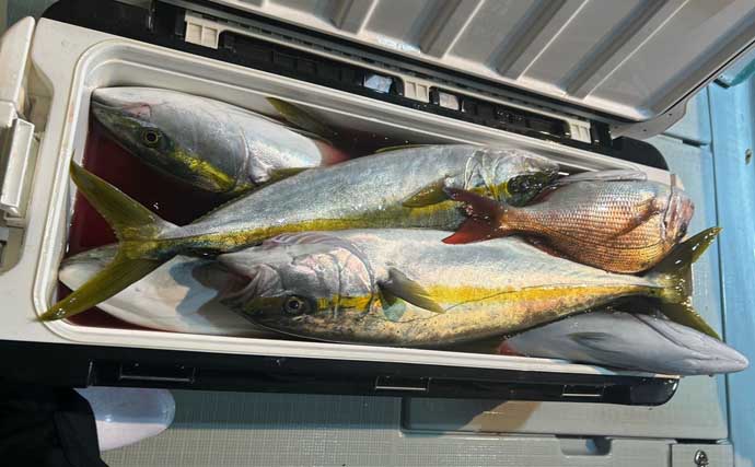 【沖釣り釣果速報】浦島礁のジャンボメダイ船が好調！船中12匹の好実績（福井）