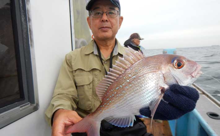 伊勢湾のウタセマダイ釣りで本命9匹＆ハマチ4匹を手中【愛知