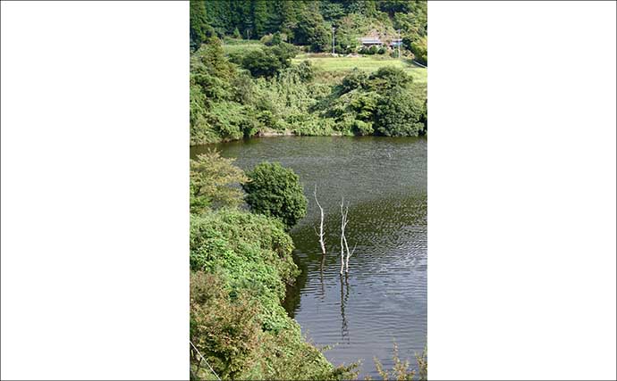 今週のヘラブナ推薦釣り場2025【千葉県・戸面原ダム】