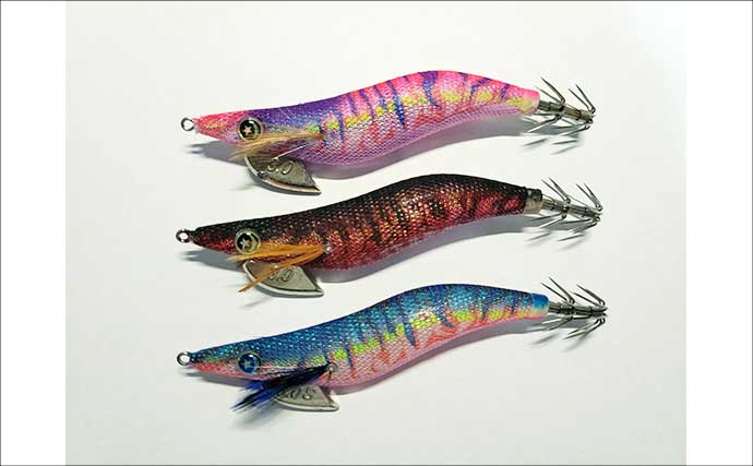 「秋イカシーズン到来！」佐多岬の実釣で学ぶ初心者向けエギング基本講座【鹿児島】