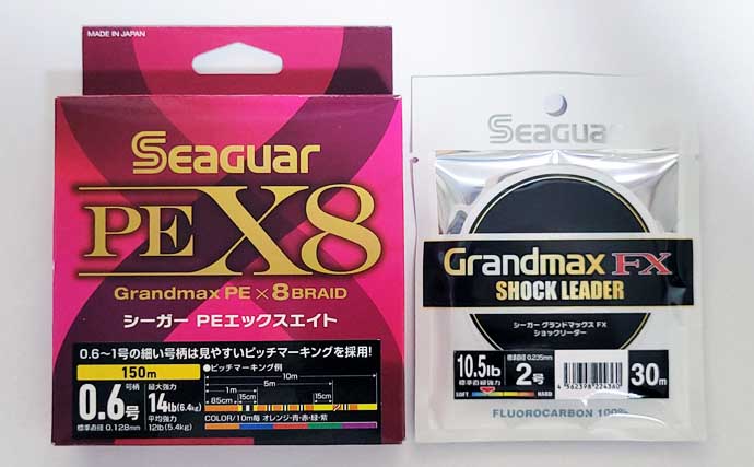 「秋イカシーズン到来！」佐多岬の実釣で学ぶ初心者向けエギング基本講座【鹿児島】