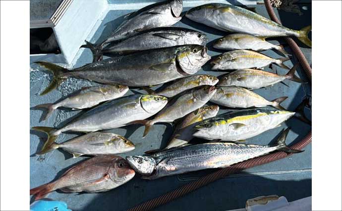 【沖釣り釣果速報】ネリゴ6尾＆マダイ2.5kgと快釣！ライトジギング＆タイラバで高級魚が連発（長崎・佐賀）