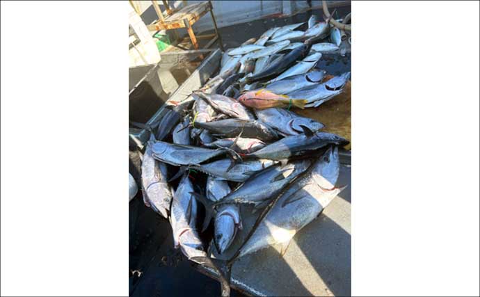 【沖釣り釣果速報】家族で大興奮！落とし込み釣りでネリゴ入れ食い＆青物乱舞（福岡）