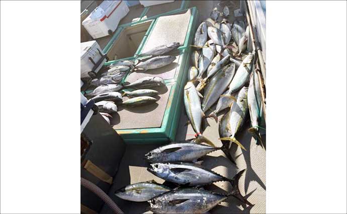 【沖釣り釣果速報】家族で大興奮！落とし込み釣りでネリゴ入れ食い＆青物乱舞（福岡）