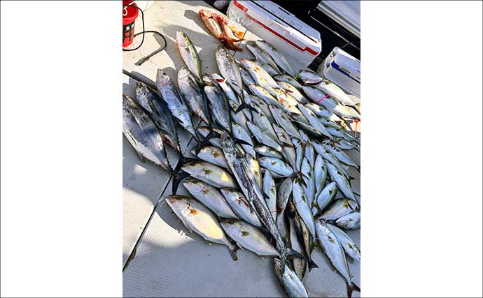 【沖釣り釣果速報】家族で大興奮！落とし込み釣りでネリゴ入れ食い＆青物乱舞（福岡）