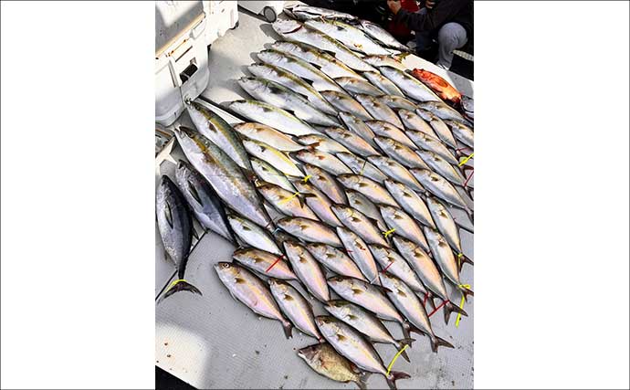 【沖釣り釣果速報】玄界灘の落とし込み釣りで1m級ヒラマサ続出！（福岡）