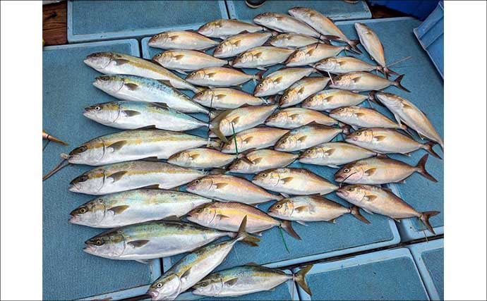 【沖釣り釣果速報】玄界灘の落とし込み釣りで1m級ヒラマサ続出！（福岡）