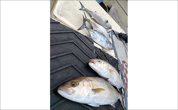 【沖釣り釣果速報】マダイ良型ラッシュ！タイラバ&SLJでヒット連発（長崎・佐賀）