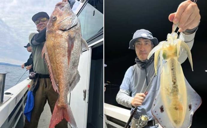 関西エリアの【船釣り特選釣果】タイラバで大ダイ86.5cm！ティップランでは竿頭18匹【京都】