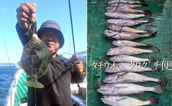 関西エリアの【船釣り特選釣果】タイラバで大ダイ86.5cm！ティップランでは竿頭18匹【京都】