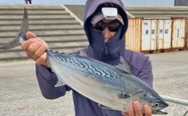 「秋の離島は釣り天国！」伊豆大島のフカセ釣りで55cm良型スマガツオを…