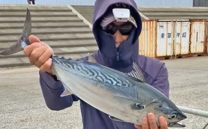 「秋の離島は釣り天国！」伊豆大島のフカセ釣りで55cm良型スマガツオを手中【東京】
