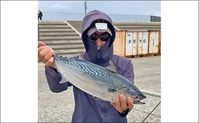「秋の離島は釣り天国！」伊豆大島のフカセ釣りで55cm良型スマガツオを手中【東京】