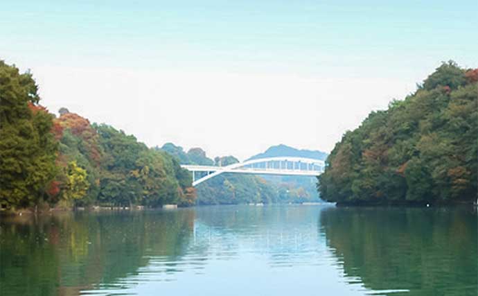 秋本番のボートワカサギ釣りで242尾キャッチ【神奈川・相模湖】群れを読んで手返し良くヒット