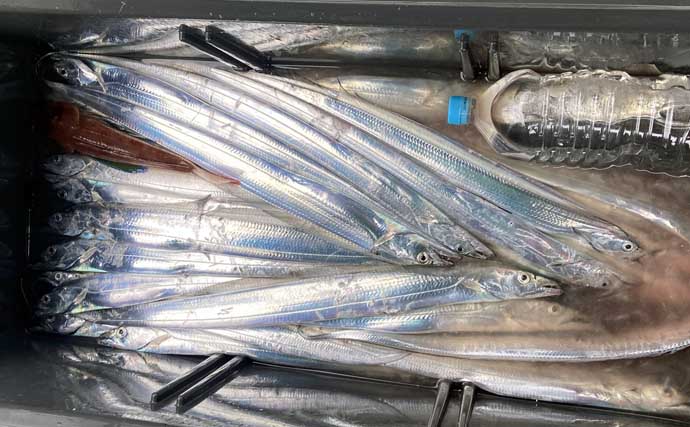 【沖のルアー釣果速報】伊勢湾キャスティングゲームでサワラ＆サゴシ連発！（三重・愛知）