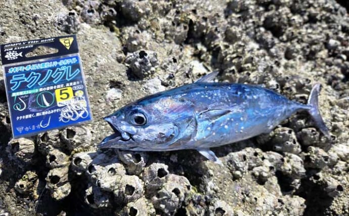 「海の中はまだ夏？」沖磯フカセ釣りでシイラにソーダカツオなど7魚種【西伊豆】